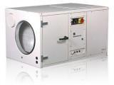 Канальный осушитель Dantherm CDP 165 с водоохлаждаемым конденсатором, 380V 351559 - 380